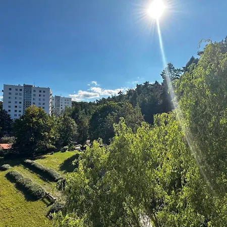Nowy Balance Gdynia
